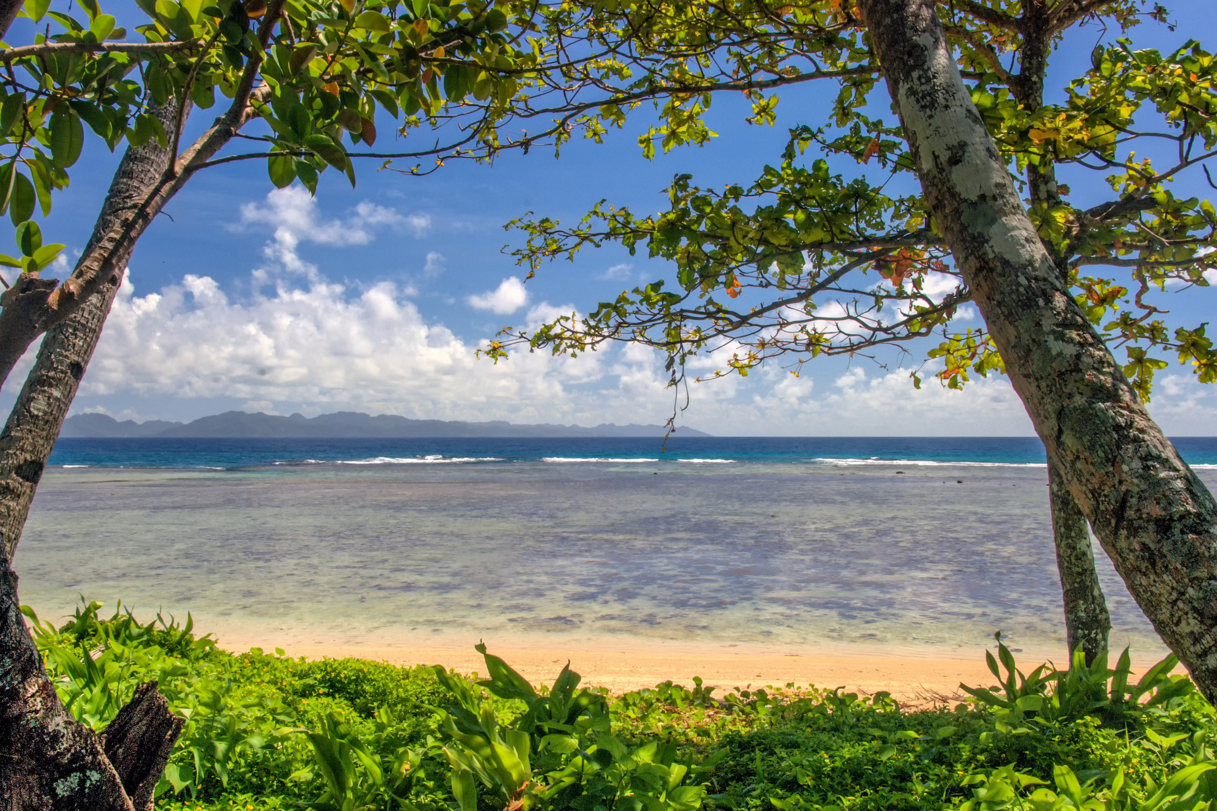 185 taveuni island.webp